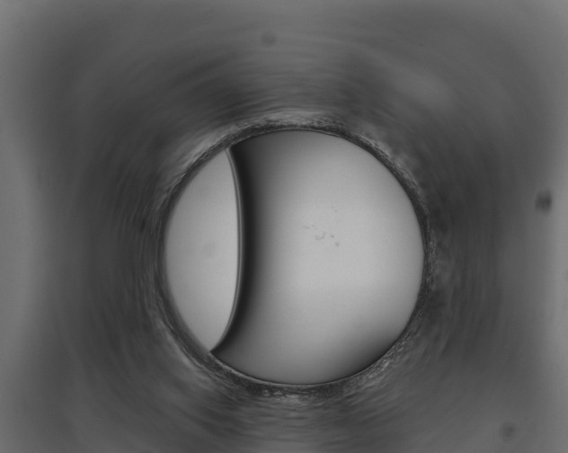 X0000097770062200803070910