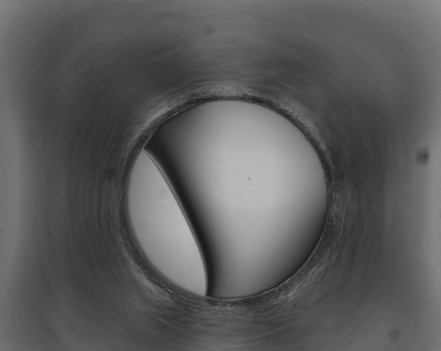 X0000097770063200803070910