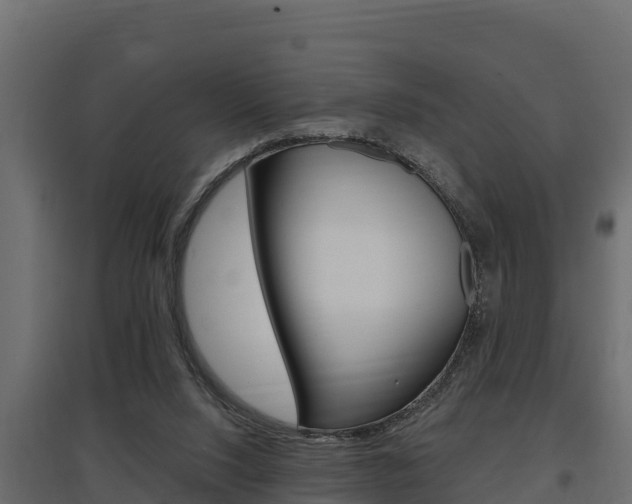 X0000097770064200803070910