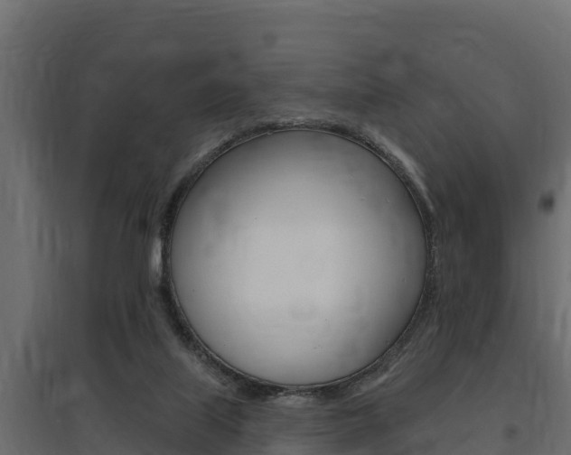 X0000097770067200803070910