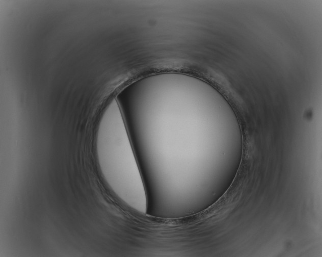 X0000097770068200803070910