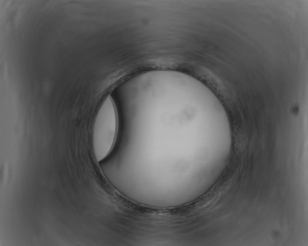 X0000097770071200803070910