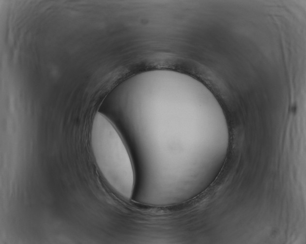 X0000097770073200803070910