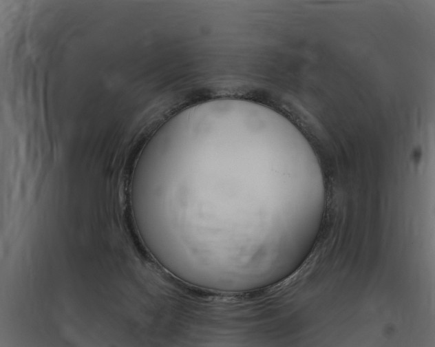 X0000097770074200803070910