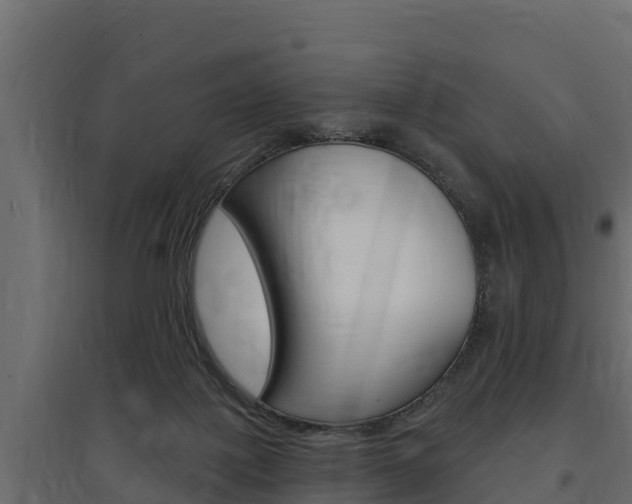 X0000097770075200803070910