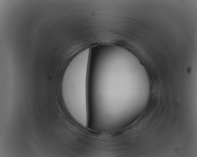 X0000097770076200803070910