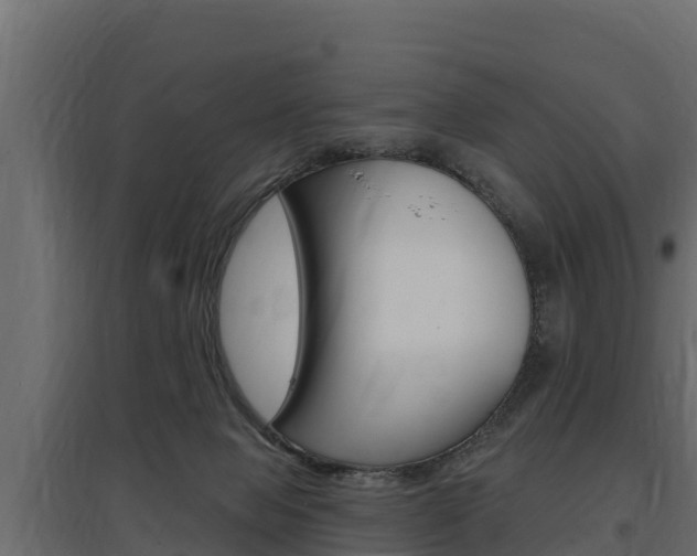 X0000097770077200803070910