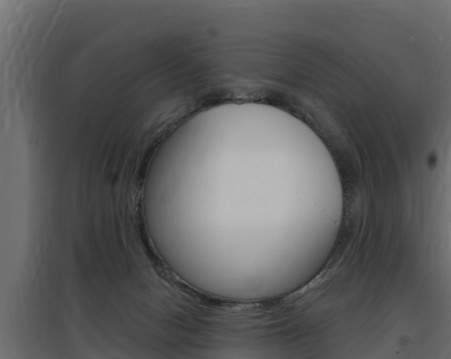 X0000097770078200803070910