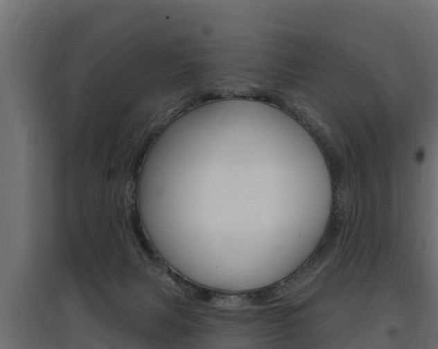 X0000097770079200803070910