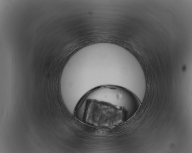 X0000097770080200803070910