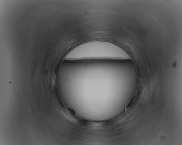 X0000097770081200803070910