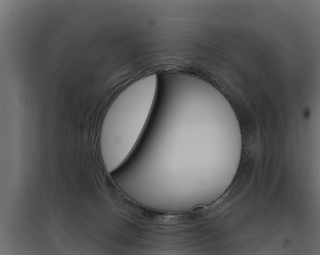 X0000097770082200803070910