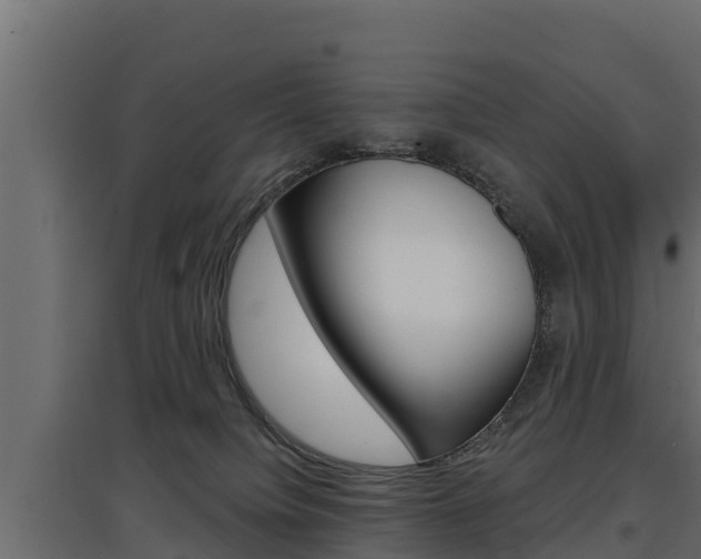 X0000097770084200803070910