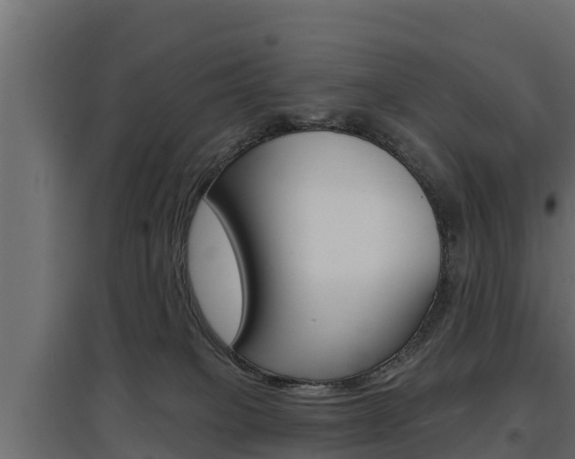 X0000097770085200803070911