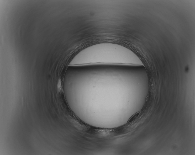 X0000097770089200803070911