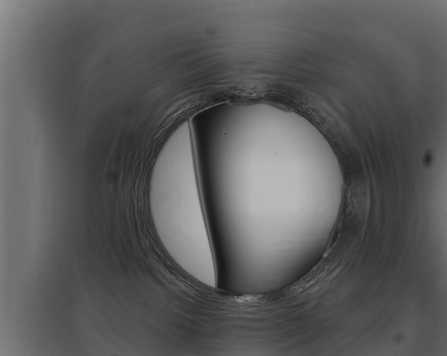 X0000097770092200803070911