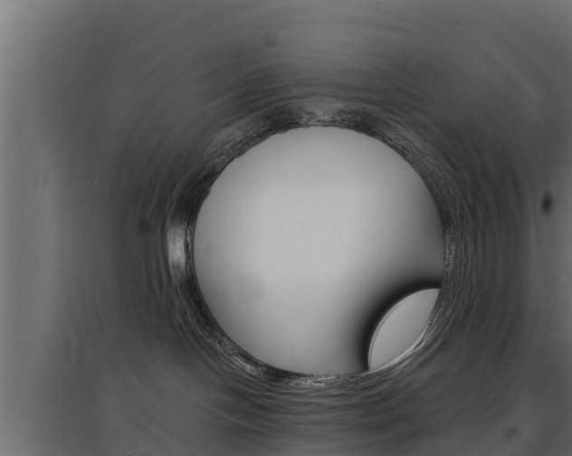 X0000097770094200803070911