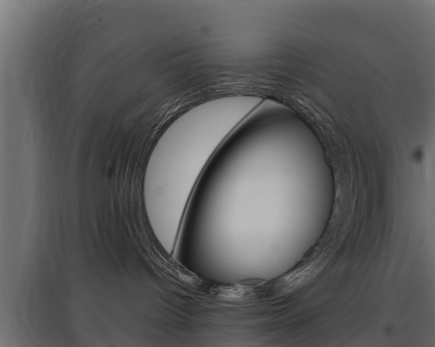 X0000097770096200803070911
