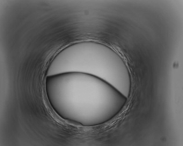 X0000097770097200803070910