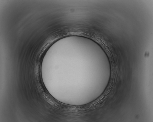 X0000097770098200803070910