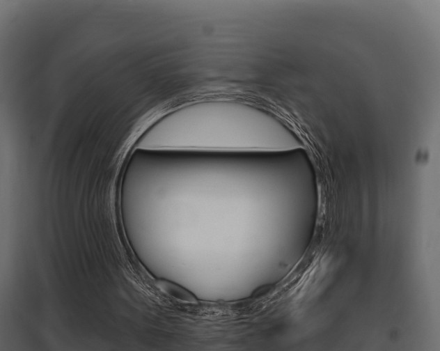 X0000097770099200803070910