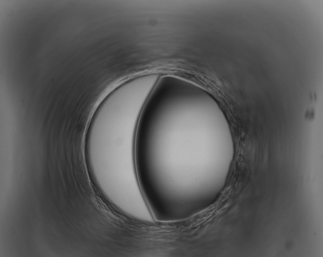 X0000097770100200803070910