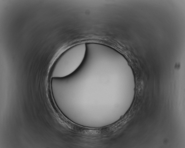 X0000097770102200803070910