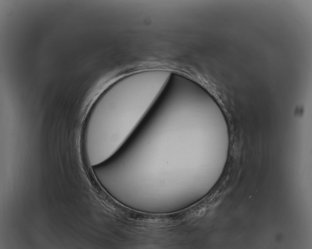 X0000097770103200803070910