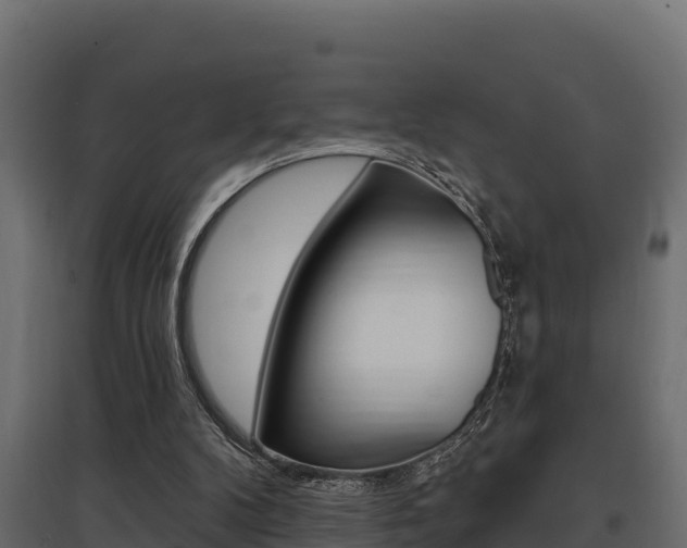 X0000097770104200803070910