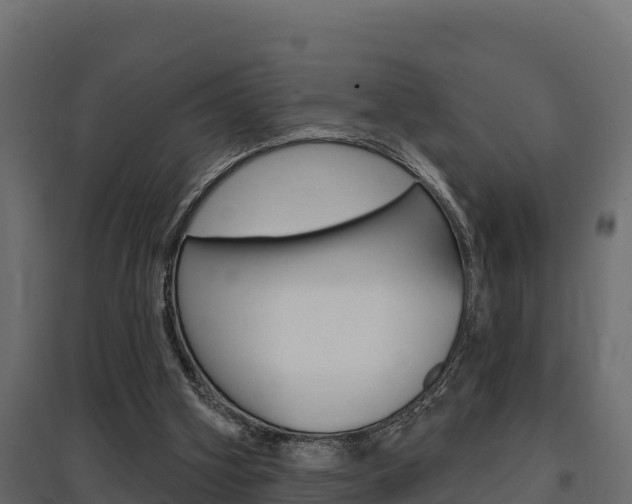X0000097770106200803070910