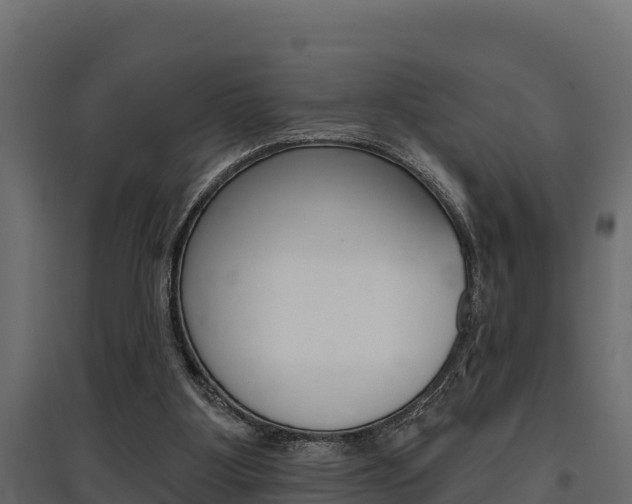 X0000097770107200803070910