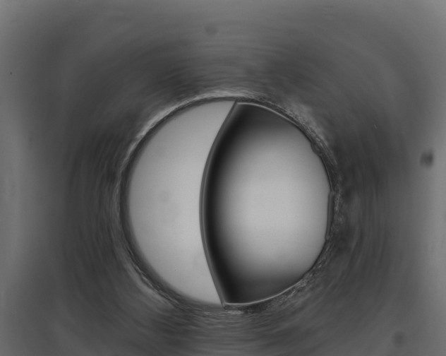 X0000097770108200803070910