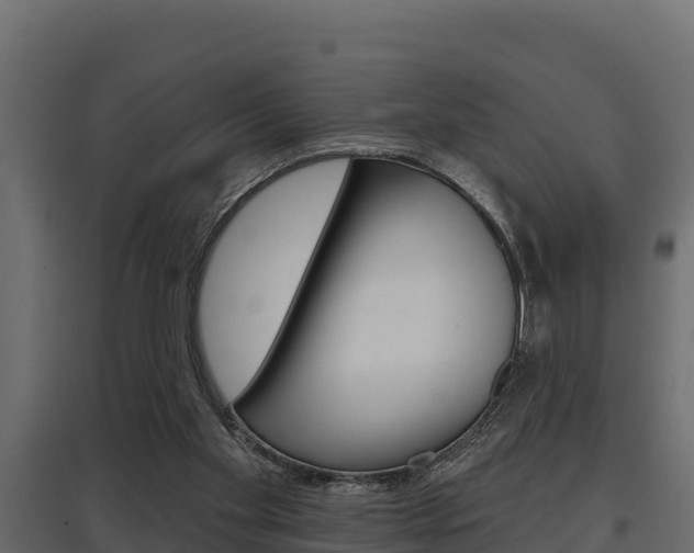 X0000097770109200803070910