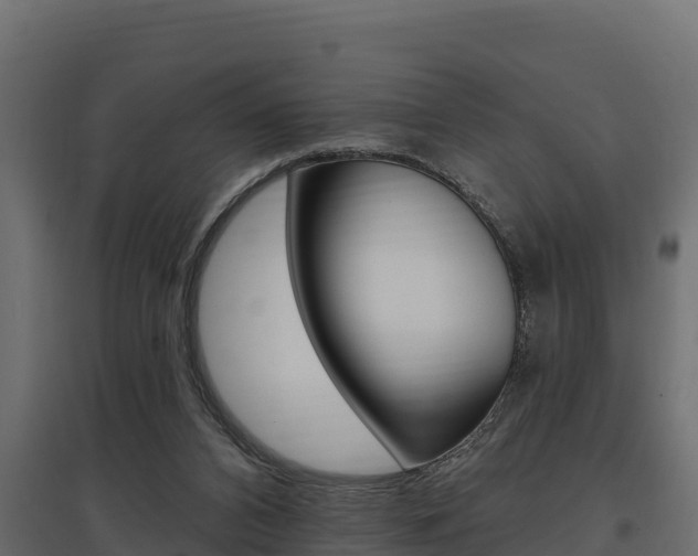 X0000097770112200803070910