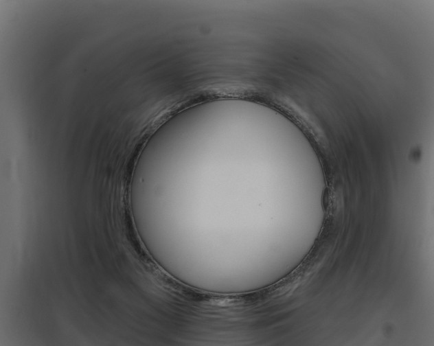 X0000097770117200803070910