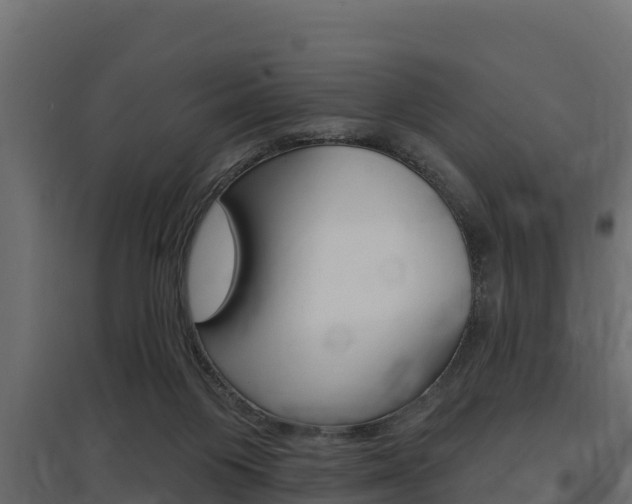 X0000097770119200803070910