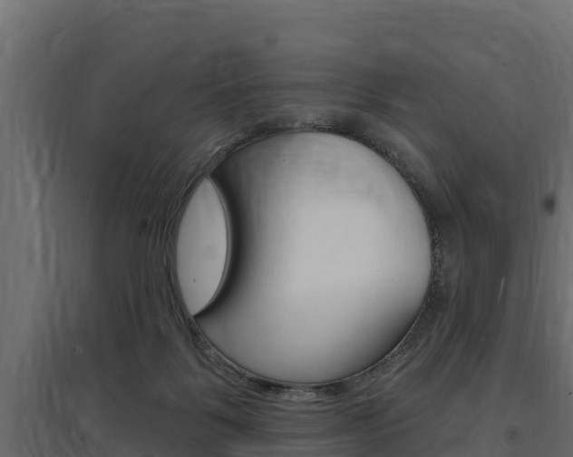 X0000097770123200803070910