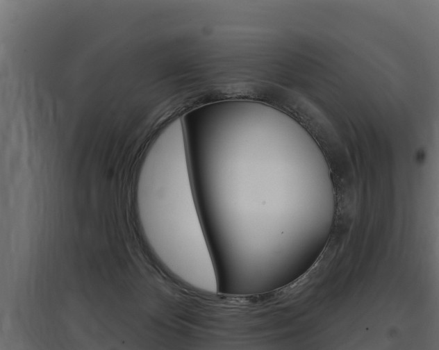 X0000097770124200803070910