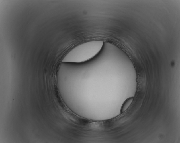 X0000097770126200803070910
