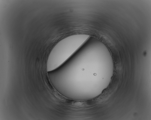 X0000097770129200803070910