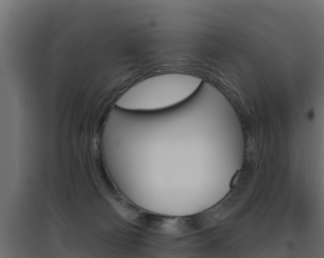 X0000097770130200803070910