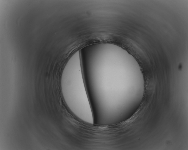 X0000097770132200803070910