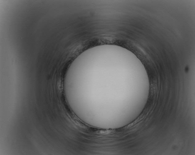 X0000097770134200803070909