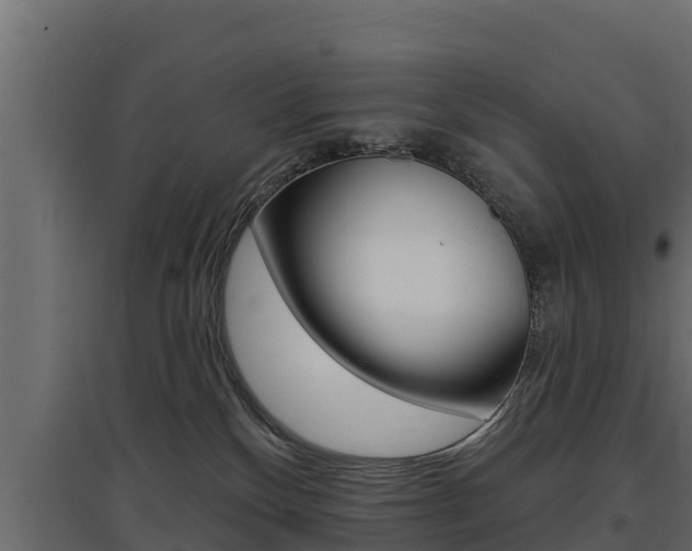 X0000097770136200803070909
