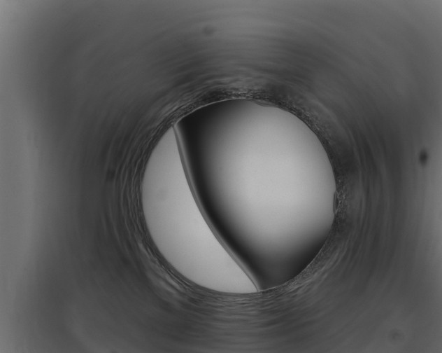 X0000097770137200803070909