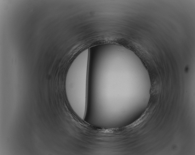 X0000097770140200803070909