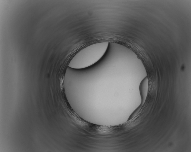 X0000097770142200803070909