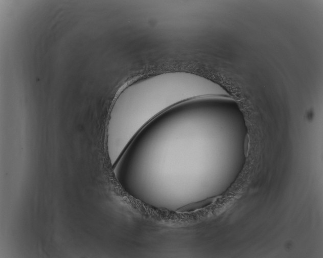 X0000097770144200803070909