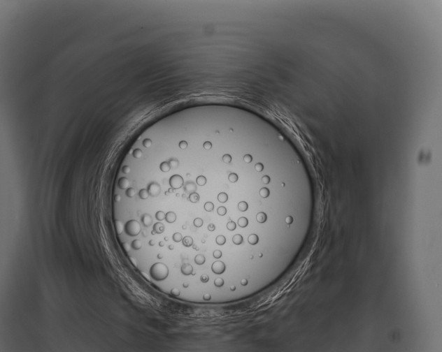 X0000097770145200803070909