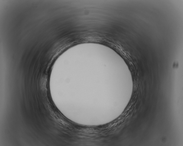 X0000097770146200803070909